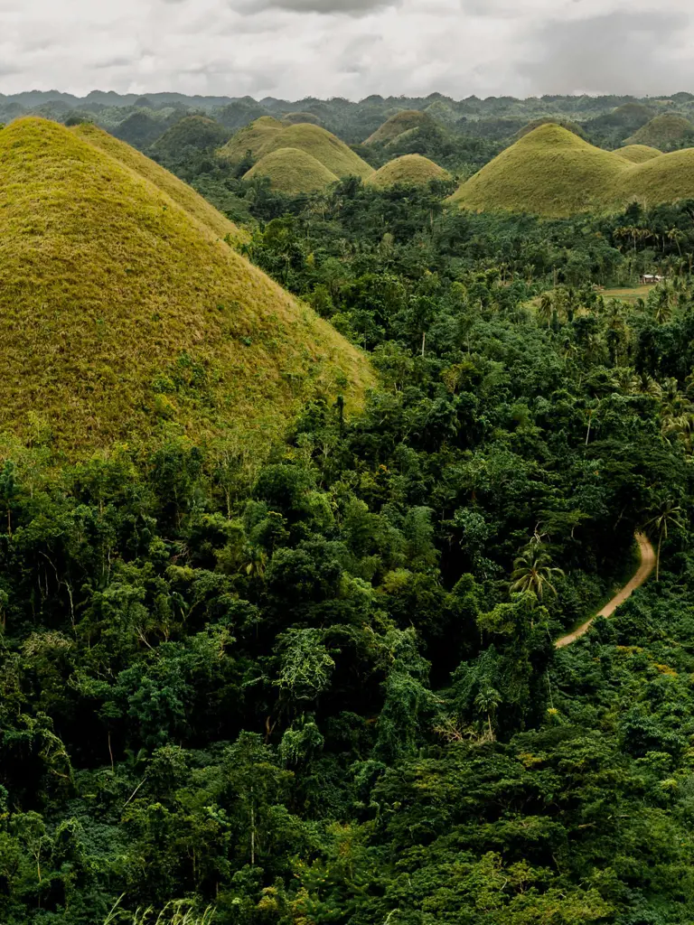 Naturwunder Bohol – Privattour auf den Philippinen